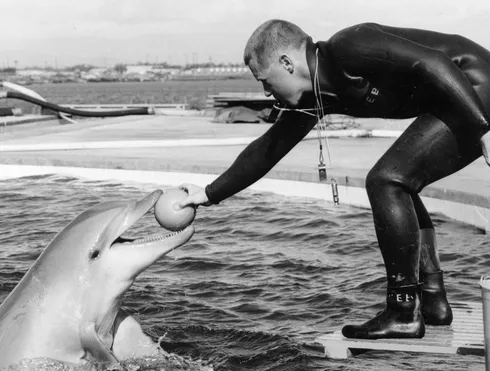 An archival photograph of Bob Bailey with a dolphin