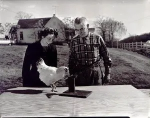 Marian and Keller Breland working with a chicken at an outdoor training table